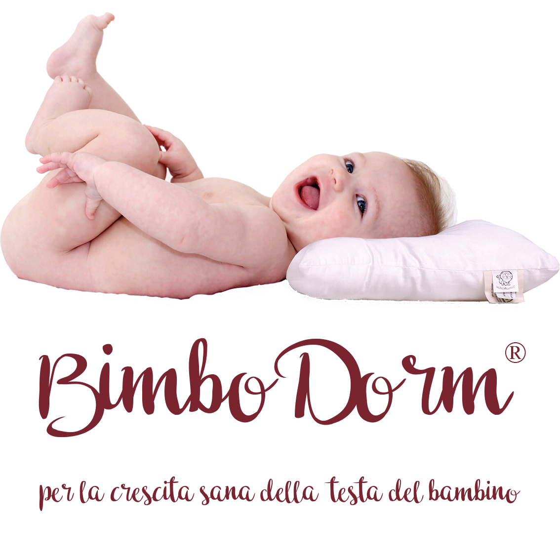 BimboDorm®